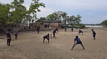 Between Stumps and Shadows: The Field of Dreams