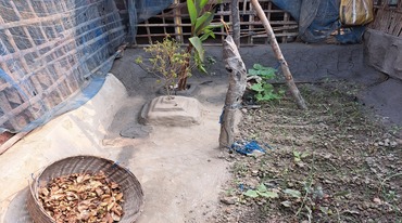 Bhakti
