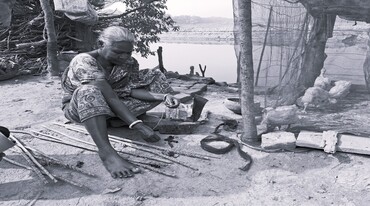 Threads of Life by the Water's Edge