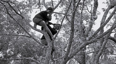 Laughter Among the Leaves