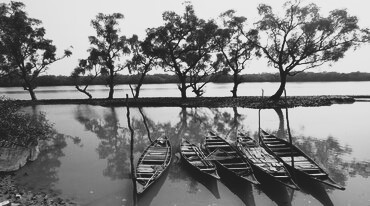 The River's Rhythm